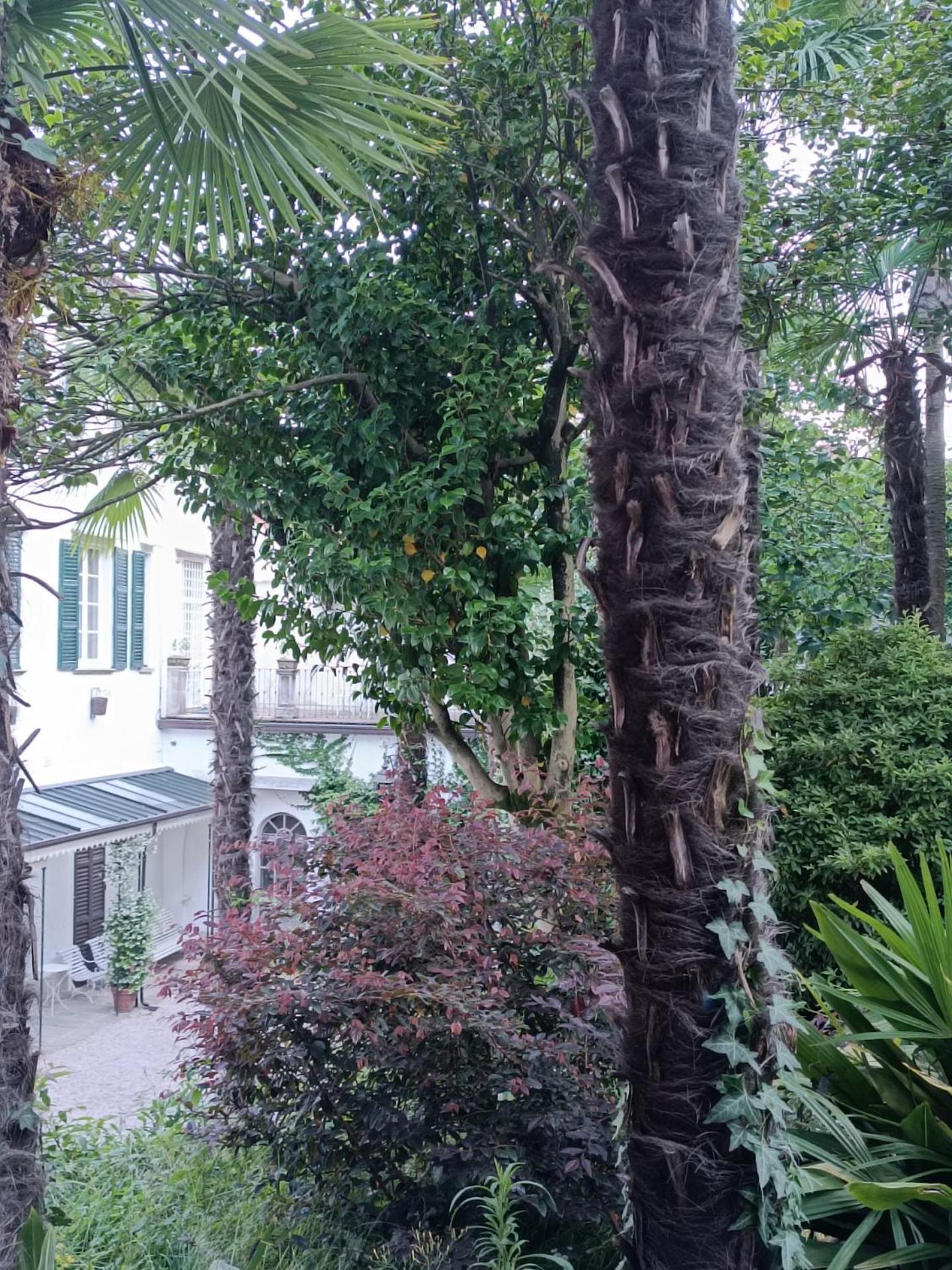 Casa Martelli Διαμέρισμα Belgirate Εξωτερικό φωτογραφία